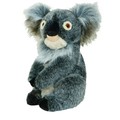 Daphne's Golf Koala Headcover